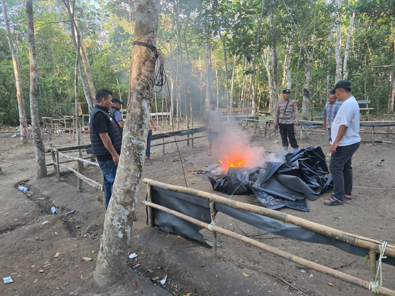 Polres OKI Selidiki Dugaan Perjudian Sabung Ayam di Pematang Panggang